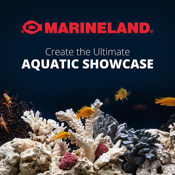 10 Gallon Glass Aquarium Kit Marineland®